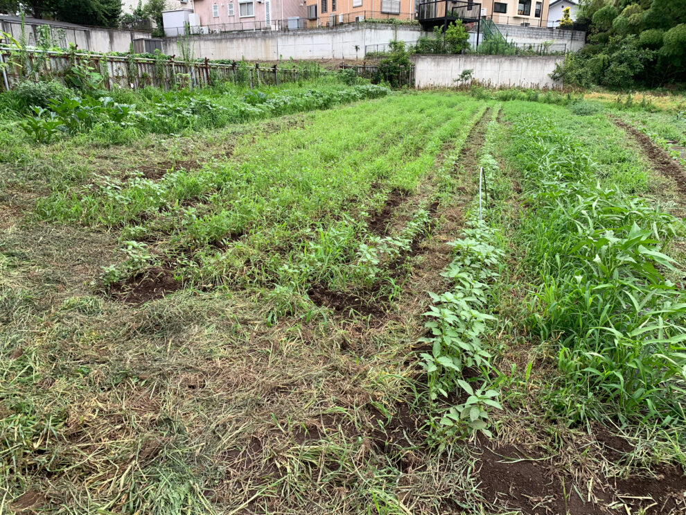 2019年7月3日(水)の作業記録