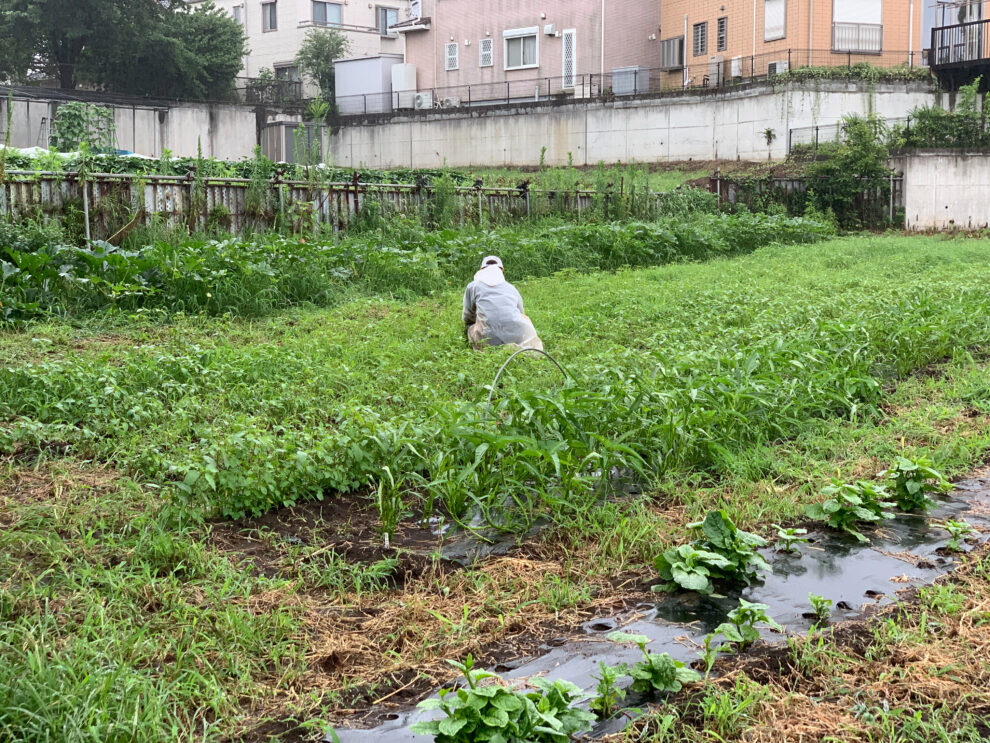 2019年7月12日(金)の作業記録