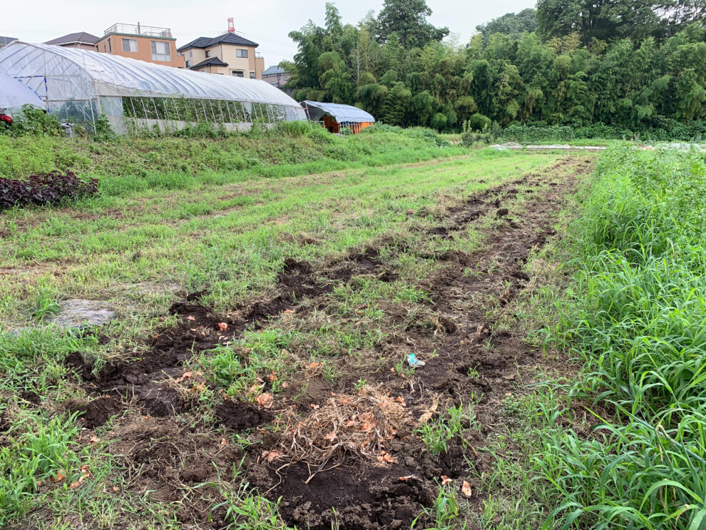 2019年7月25日(木)の作業記録