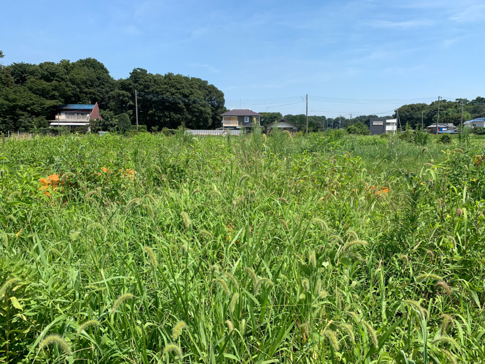 2019年8月8日(木)の作業記録