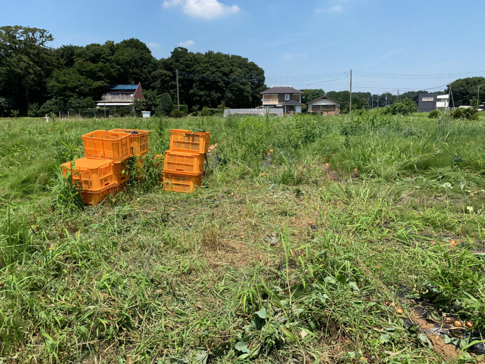 2019年8月9日(金)の作業記録