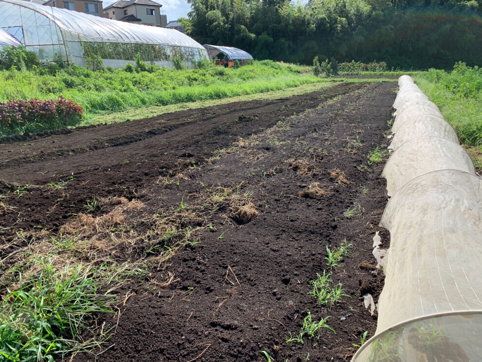 2019年8月15日(木)の作業記録