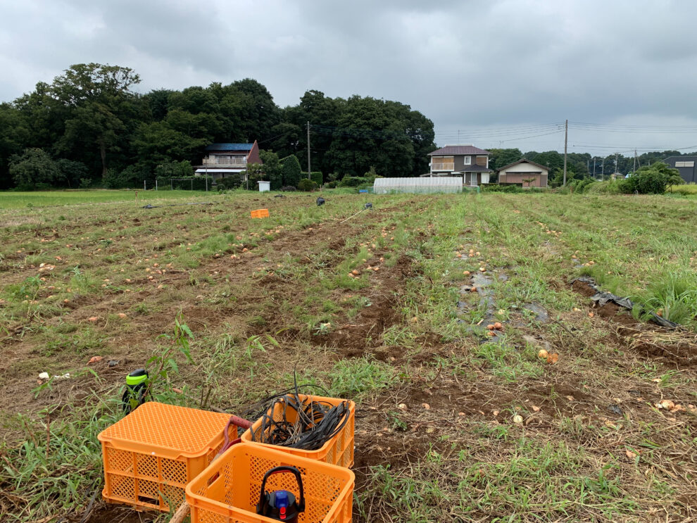 2019年8月22日(木)の作業記録