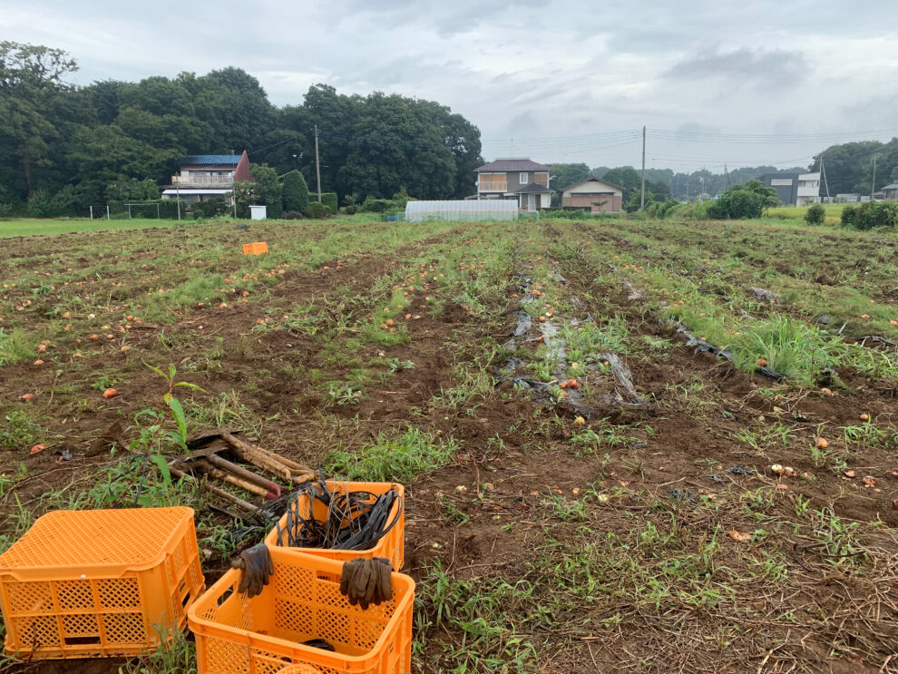 2019年8月23日(金)の作業記録