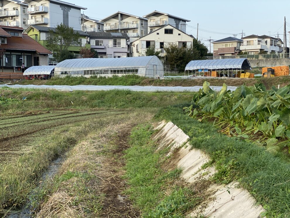 2019年10月29日(火)〜11月1日(金)の作業記録