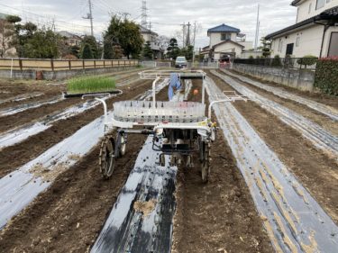 2019年12月25日(水)の作業記録 (鈴木さん畑でマルチ張りと玉ねぎ定植作業)