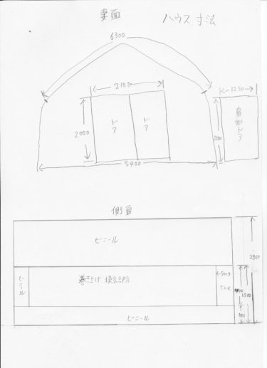 2020年1月24日(金)の作業記録 (収穫作業メイン、玉ねぎ追肥、鈴木さん畑のハウス寸法を確認)