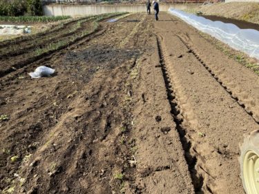 2020年2月19日(水)の作業記録 (吉岡さん畑の玉ねぎ追肥作業、吉岡さん畑の山部分の石とゴミ拾い作業、竹炭まき)