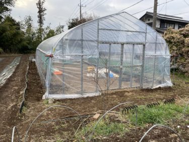 2020年2月26日(水)の作業記録 (鈴木さん畑ビニールハウスのシート張り等、小溝玉ねぎ畑で追肥作業)