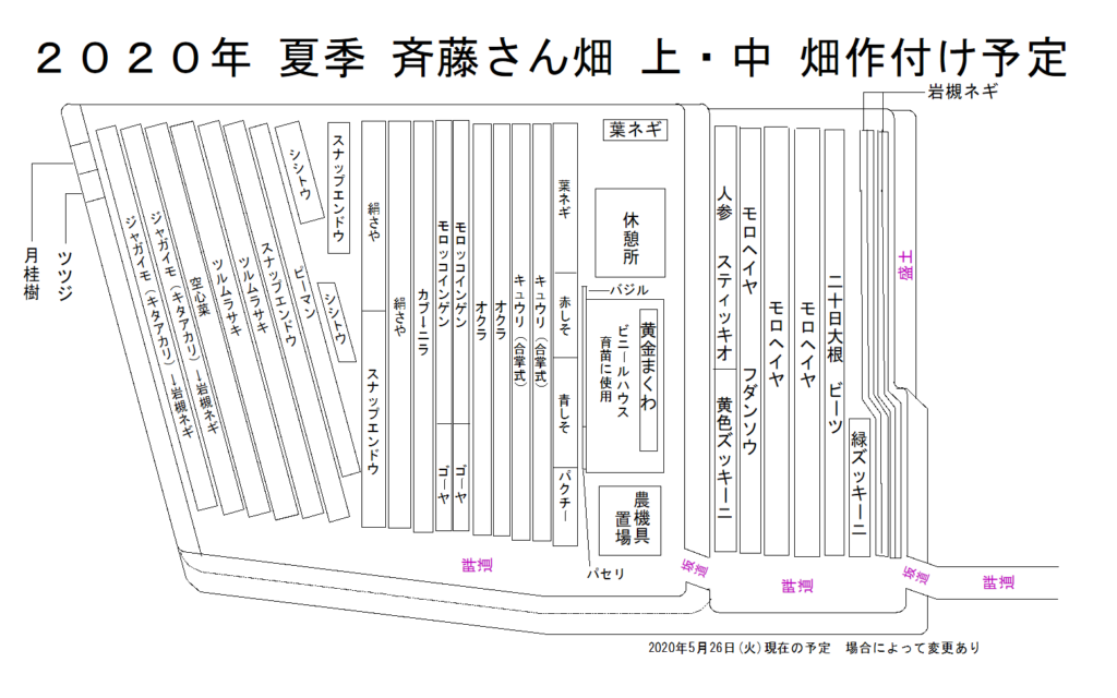 斉藤さん 上・下 畑 2020年夏季作付け予定図