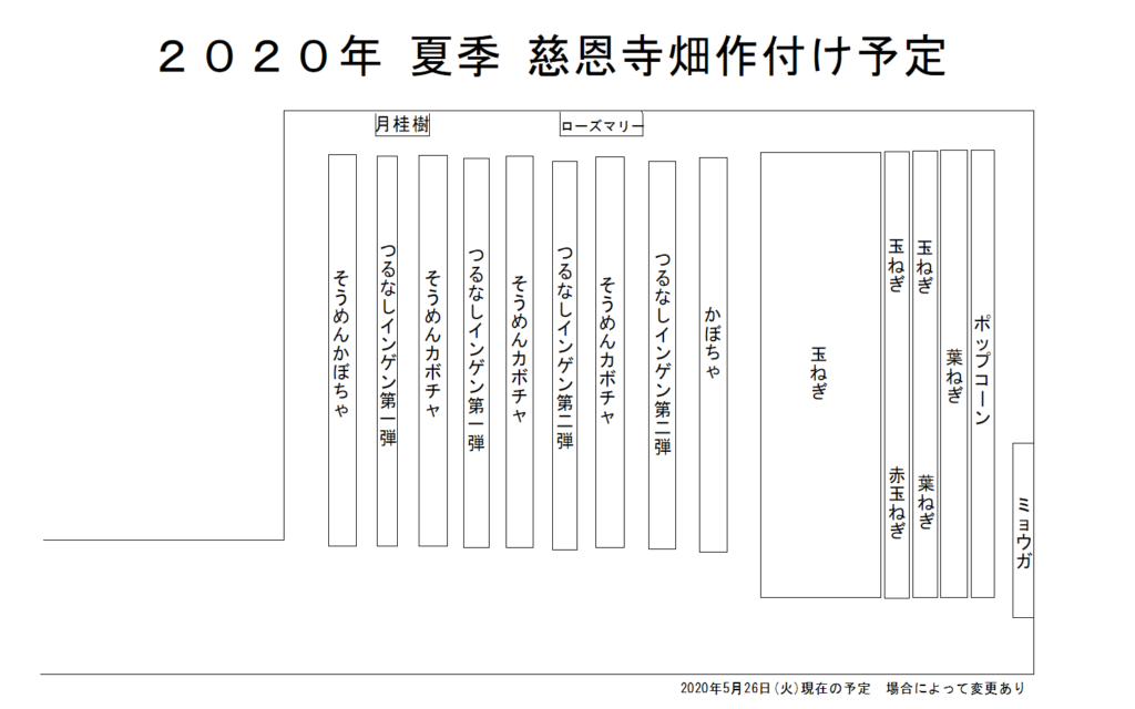 慈恩寺畑 2020年夏季作付け予定図