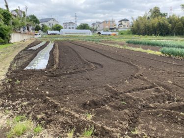 2020年5月11日(月)の作業記録 (吉岡さん畑ジャガイモ畝追肥と土寄せ、駐車場清掃)