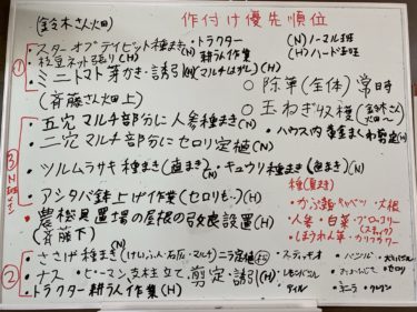 2020年6月12日(金)の作業記録 (ジャガイモ初収穫、鈴木さん畑の玉ねぎ整理回収作業、マルチ直し作業、キュウリの定植作業、畑ミーティング)