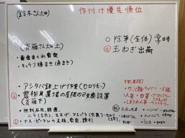 2020年6月19日(金)の作業記録 (玉ねぎ選別回収、畑ミーティング)