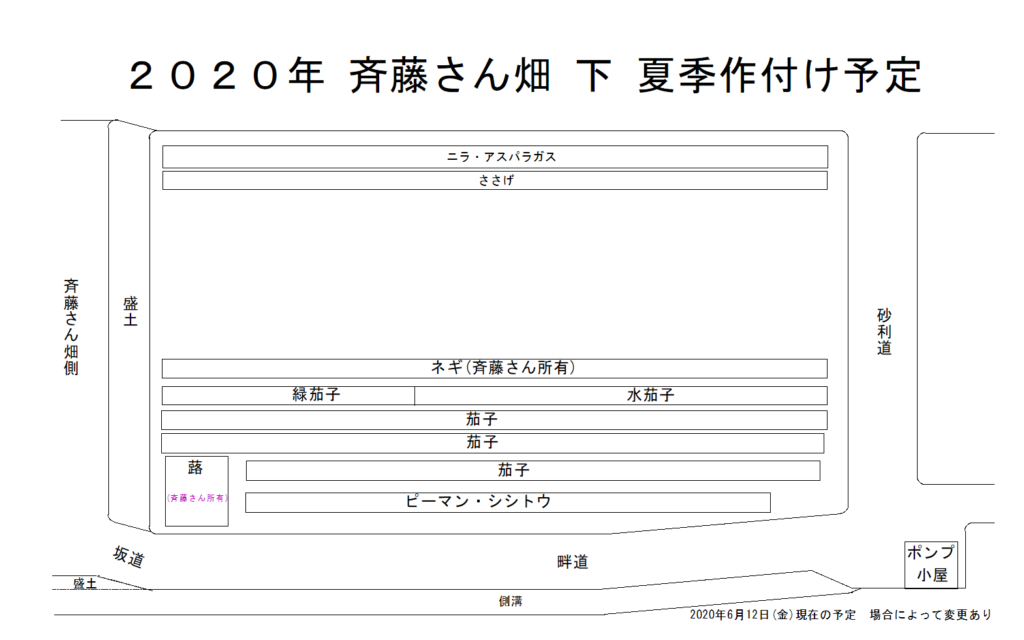 斉藤さん 下 畑 2020年夏季作付け予定図　2020年6月13日(土)更新