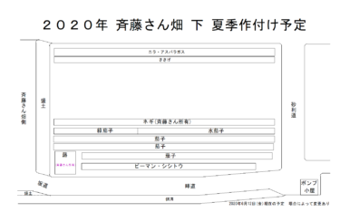 2020年夏季　作付け予定図(2020年6月13日(土)更新)