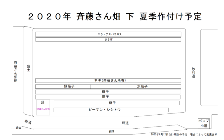 斉藤さん 下 畑 2020年夏季作付け予定図　慈恩寺畑 2020年夏季作付け予定図　2020年6月13日(土)更新