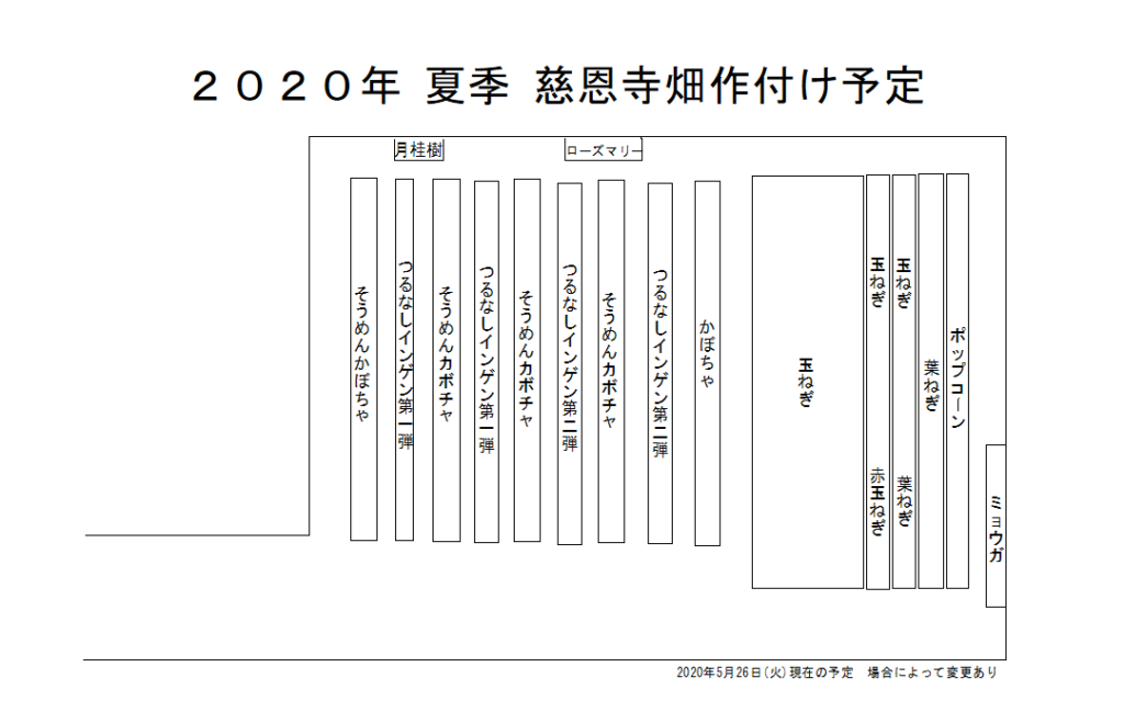 慈恩寺畑 2020年夏季作付け予定図　2020年6月13日(土)更新