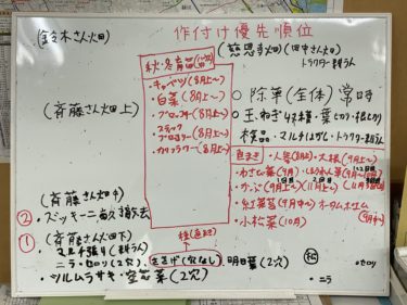 2020年7月31日(金)の作業記録 (ジャガイモ掘り、畑ミーティング)