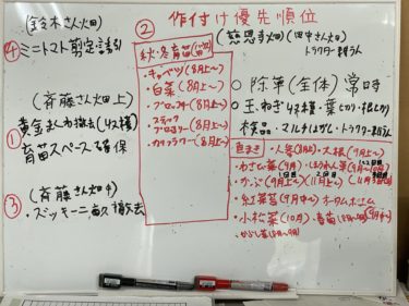 2020年8月7日(金)の作業記録 (除草作業、育苗スペース確保の為に斉藤さん畑のビニールハウス内を小型耕運機で耕耘)