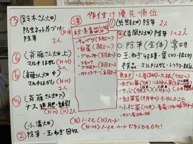 2020年8月19日(水)の作業記録 (白菜とキャベツの種蒔き作業(育苗作業))