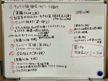 2020年9月25日(金)の作業記録 (収穫作業メイン、トラクターロータリー刃清掃、玉ねぎ皮むき選別、ハウス内水やり、畑作業ミーティング)