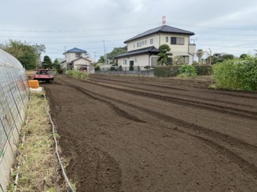 2020年10月22日(木)の作業記録 (鈴木さん畑の耕耘作業、ほうれん草の播種作業等)