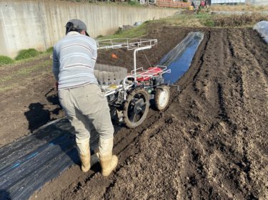 2020年11月4日(水)の作業記録 (移植機の試運転、鈴木さん畑で鶏糞と石灰を撒きトラクター耕耘作業)