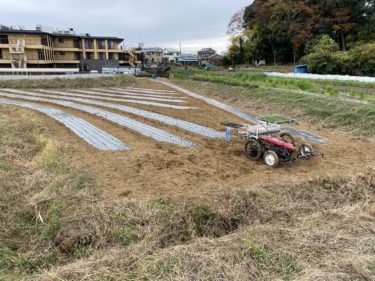 2020年11月24日(火)の作業記録 (吉岡さん畑で玉ねぎの定植作業)