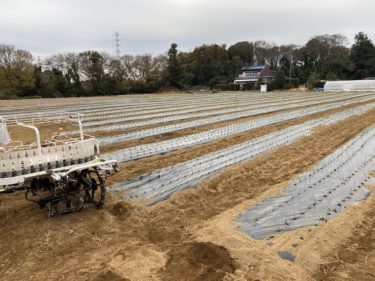 2020年12月2日(水)の作業記録 (小溝玉ねぎ畑の移植機での玉ねぎ苗の定植作業完了、移植機を鈴木さん畑移動して再び玉ねぎの定植作業)