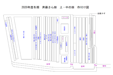 2020年度 冬期 斉藤さん畑の作付け図