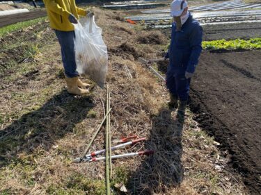 2021年2月3日(水)の作業記録 (午前中のみの作業、小溝玉ねぎ畑の除草作業、斉藤さん畑の鶏糞等の片付け作業)