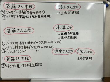 2021年2月12日(金)の作業記録 (斉藤さん畑の中の畑はキャベツを残して耕耘しました、斉藤さん畑のビニールハウス内から農機具を出して斉藤さん畑の下の畑の休憩所に移動、小溝畑で岩槻ネギの定植作業、畑作業ミーティング)