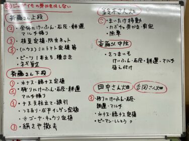 2021年5月6日(木)の作業記録 (茄子の定植作業と支柱立て作業、サラダ赤玉ねぎ初収穫、畑作業ミーティング)