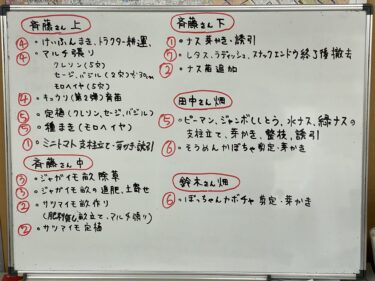 2021年5月21日(金)の作業記録 (茄子の芽搔き誘引作業、斉藤さん畑のビニールハウス内と周りの除草作業、畑作業ミーティング)