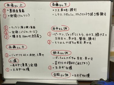 2021年5月27日(木)の作業記録 (斉藤さん畑のビニールハウス内のミニトマトの芽搔き誘引作業、畑作業ミーティング等)