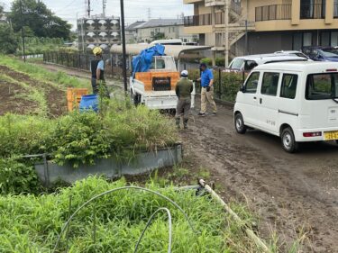 2021年6月23日(水)の作業記録 (玉ねぎ選別作業、玉ねぎ出荷作業、茄子の剪定誘引作業、モロヘイヤの種まき、斉藤さん畑のビニールハウス内の除草作業)