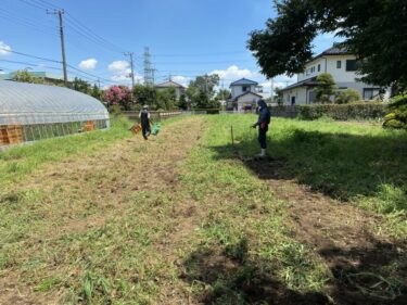 2021年8月5日(木)の作業記録 (鈴木さん畑のマルチ剥がし作業、オクラの剪定作業、田中さん畑と斉藤さん畑をハンマーナイフモアで除草作業、ミニトマト追肥作業)