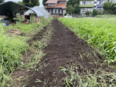 2021年8月16日(月)の作業記録 (枝豆の防虫ネット外しとマルチ剥がし後のトラクター耕耘作業、吉岡さん畑の玉ねぎマルチ剥がし作業)