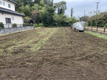 2021年10月7日(木)の作業記録 (小溝畑の長ネギと岩槻ネギの定植作業終了、鈴木さん畑をトラクターで全体を耕耘、玉ねぎの播種作業、キャベツに付着した虫を補殺作業)