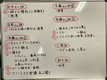 2021年10月18日(月)の作業記録 (茄子畝撤去作業、サニーレタス用のマルチ張り作業、人参･40日大根の間引き追肥作業、畑作業ミーティング)