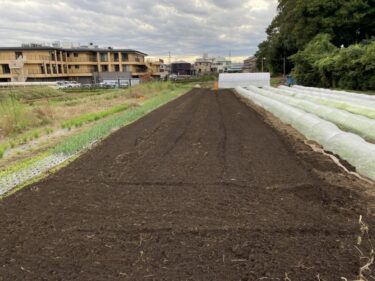 2021年10月21日(木)の作業記録 (春菊畝にポリシートでトンネル張り作業、斉藤さんのビニールハウス内の水菜の防虫ネット張り作業、トラクター耕耘作業、除草作業)