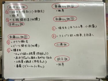 2021年10月22日(金)の作業記録 (除草作業メイン、畑作業ミーティング、不法投棄について)