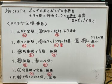 2021年11月22日(月)の作業記録 (かぶ・ブロッコリーの害虫補殺作業、畑作業ミーティング)