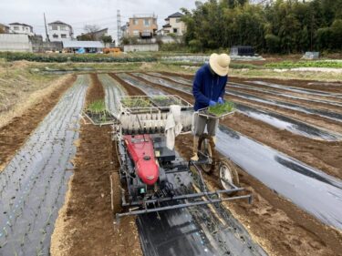 2021年12月6日(月)の作業記録 (玉ねぎの定植作業、移植機はメンテナンス完了、不法投棄ゴミの片付け)