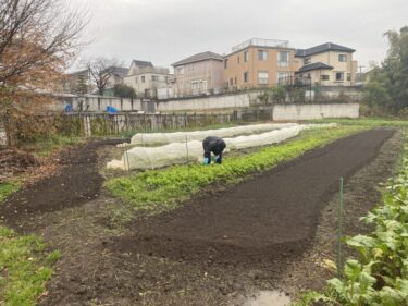 2021年12月17日(金)の作業記録 (午前のみ収穫作業中心の作業)