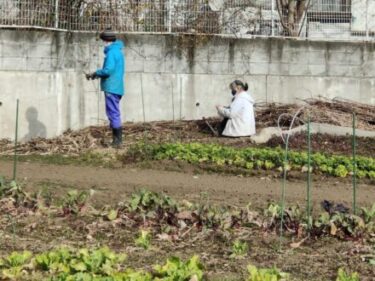 2022年1月27日(木)の作業記録 (ジャガイモの種芋の購入、斉藤さんの上の畑のオクラの残渣細断、畑作業ミーティング)