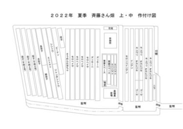 2022年2月2日(水)の作業記録 (鈴木さん畑で玉ねぎの補植作業、午後は畑作業ミーティング)