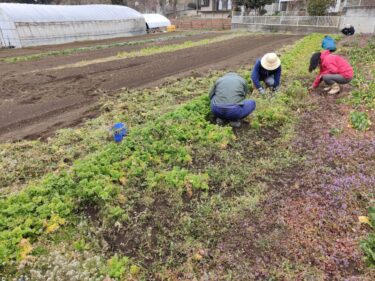 2022年3月8日(火)の作業記録 (除草作業メイン)