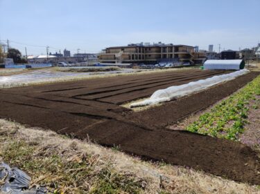 2022年3月9日(水)の作業記録 (小松菜畝周りの除草作業、斉藤さんの下の畑をトラクター耕耘作業、小溝畑でジャガイモ用の溝掘り作業)